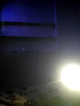 Cameron_puppy webcam