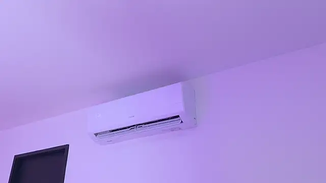 emmacurvy webcam