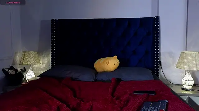 ElyWren webcam