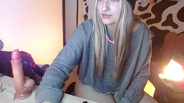 hi_elora webcam