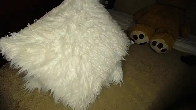miaderail webcam