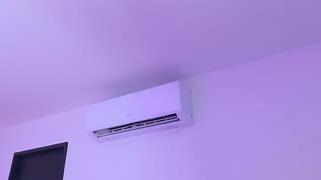 emmacurvy webcam