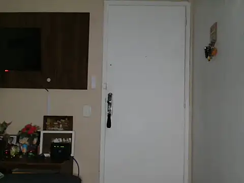 vlarkstone webcam