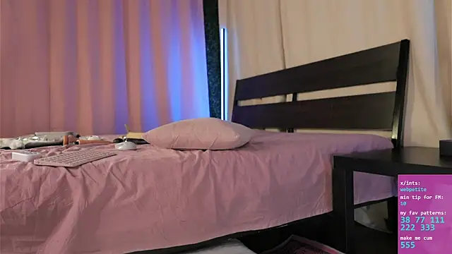 webpetite webcam