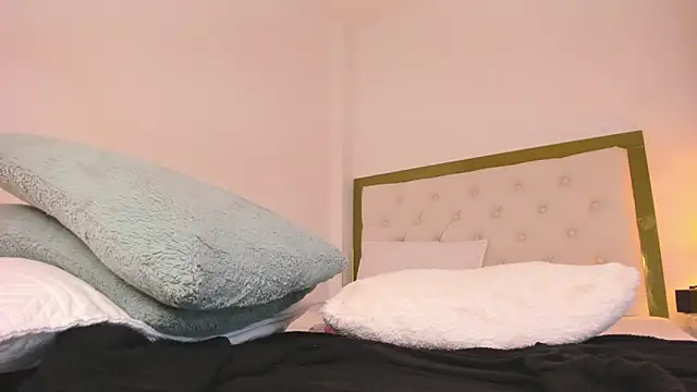 SofiaBosch webcam