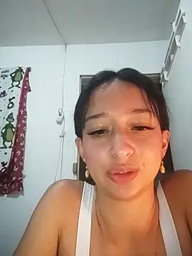 Vale_stone_ webcam