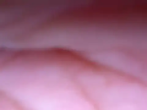 Harleenkaur_