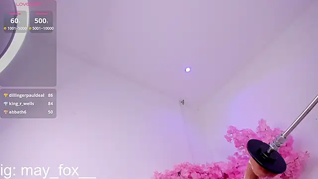 May_Fox_ webcam