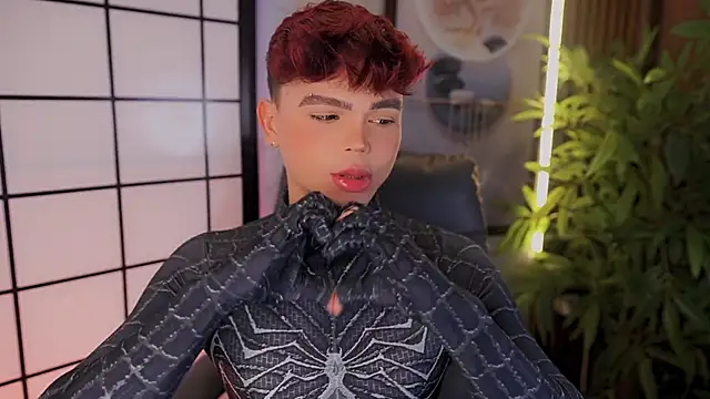 PRINCE_STEV webcam