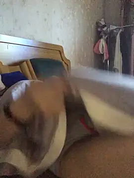 nidejiejie webcam