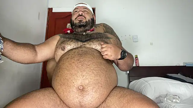 Bearspigdirty webcam