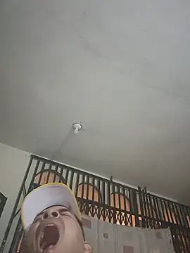 paladito01 webcam