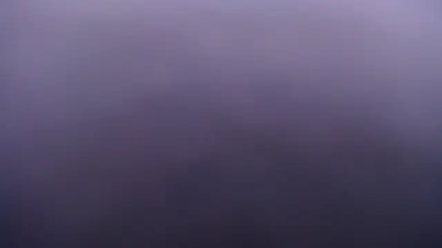 salomecastro_ webcam