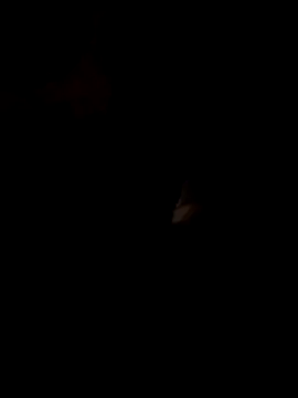 FeloBad webcam