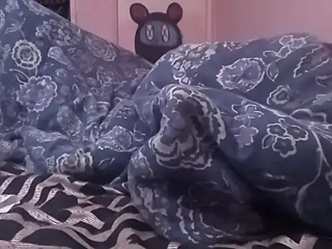 Blkstylion webcam