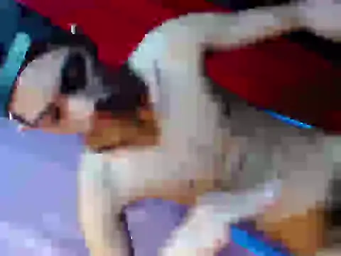 Twink_cristian27 webcam