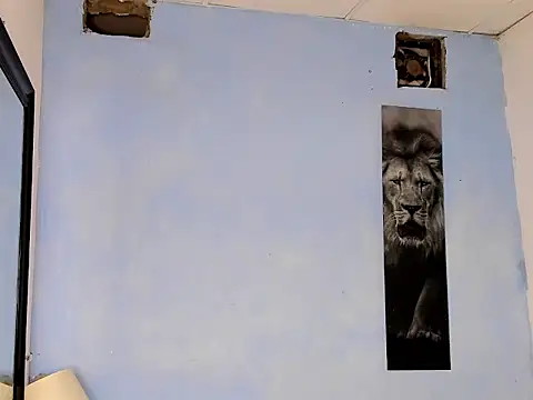tyler_bell_ webcam