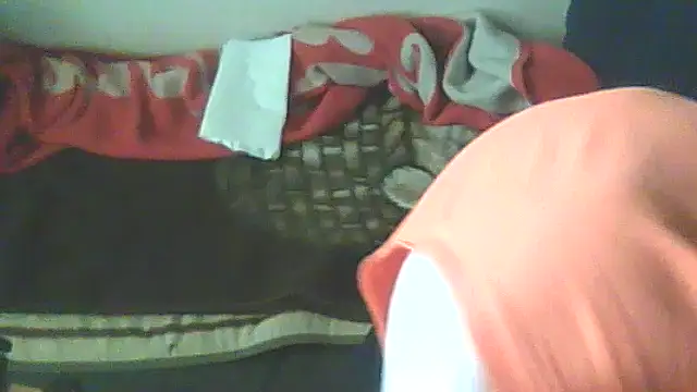 schmidtler35 webcam