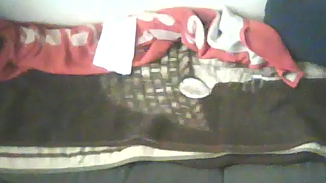 schmidtler35 webcam