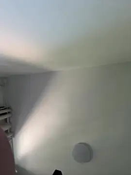 liuliu-x webcam