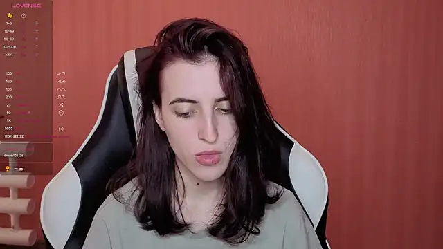 reaiss webcam