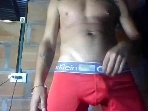 perloon webcam