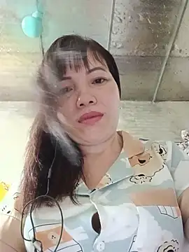 Sana-vn webcam