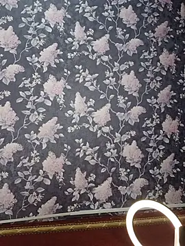NinaVerse webcam