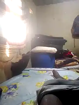 SuperTeeDee webcam
