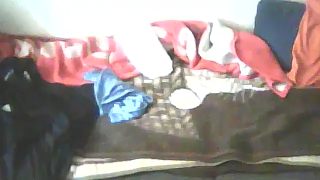 schmidtler35 webcam
