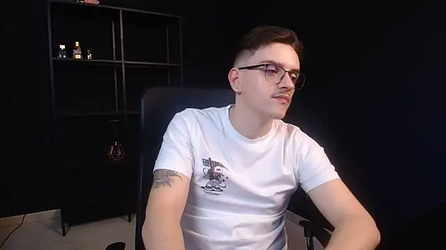 FelixStarkk webcam