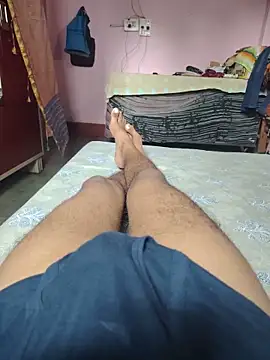 shandy__ webcam