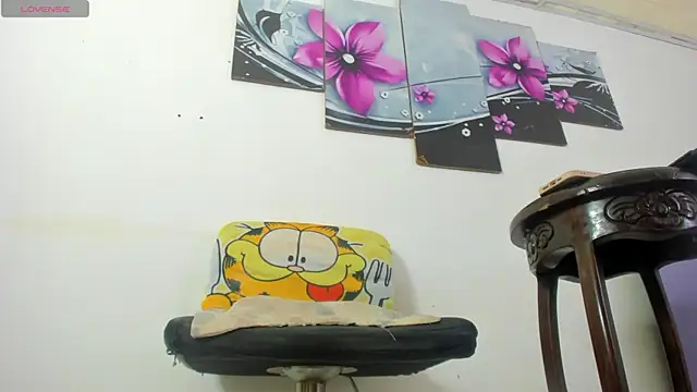 baiolethX webcam
