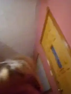 JemJensen30 webcam