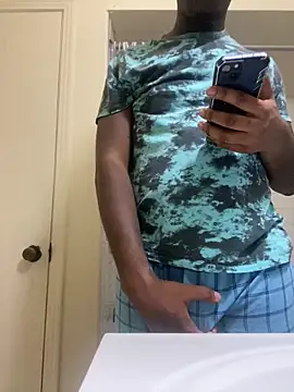 ThickDic28 webcam