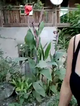 Zara-Lina webcam