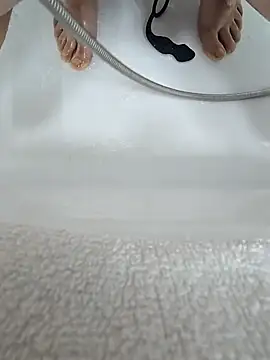 vivodan webcam