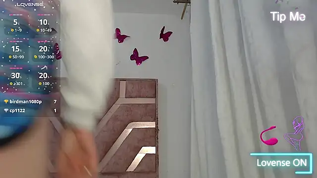 roxy-fox webcam
