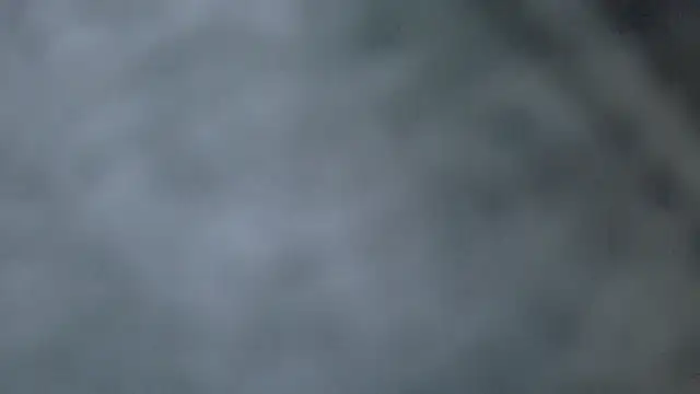 Your_rosalie webcam