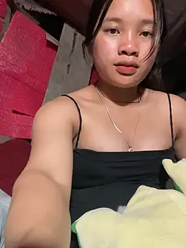 beobeo_2xx webcam