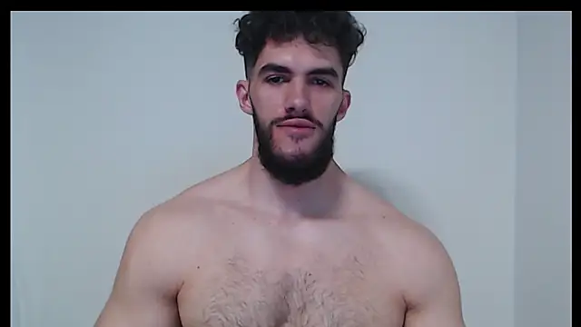 hiddenf webcam