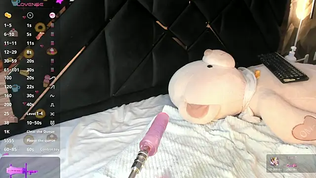 KaelSoft_ webcam