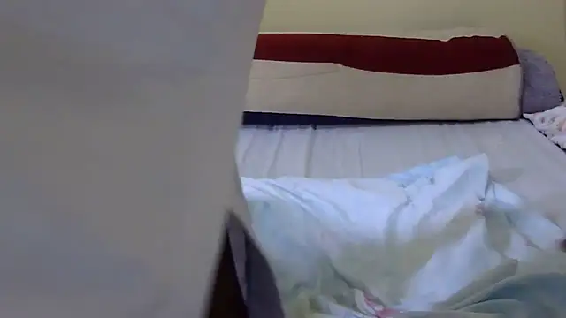 Scate webcam