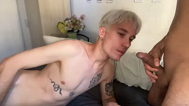 AlphaTwinks webcam