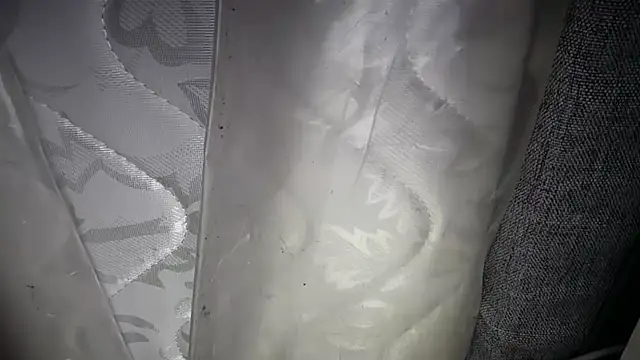 KungFuPanda001 webcam