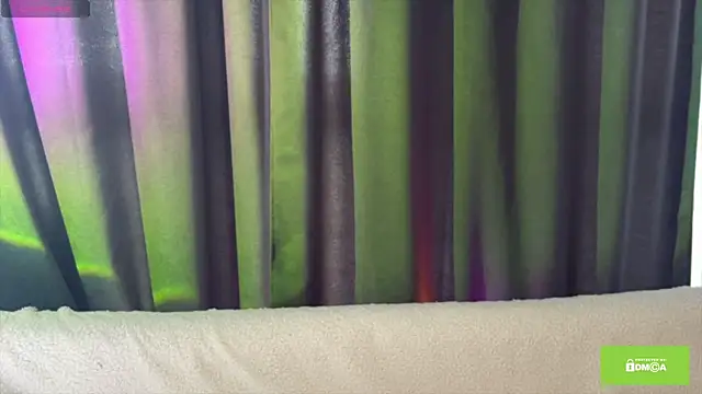 Veneloppalife webcam