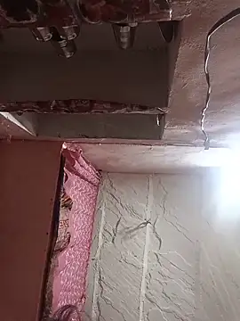 Deepjakolirr webcam