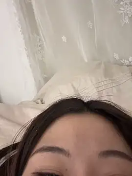 liuliu-x webcam