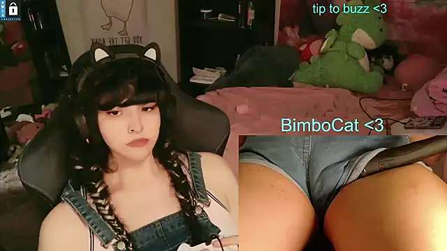 BimboCat webcam