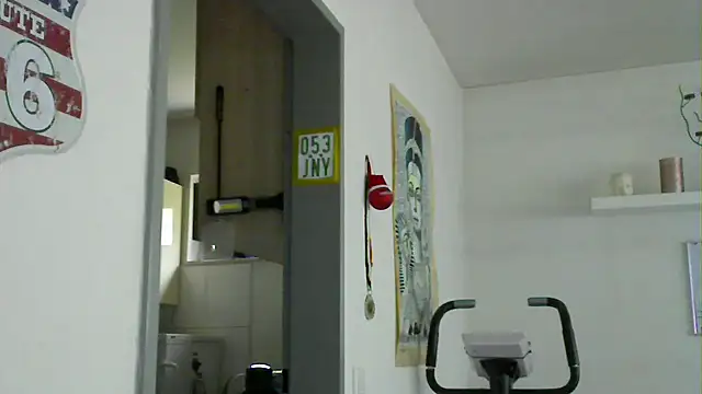 pimmelmann3 webcam